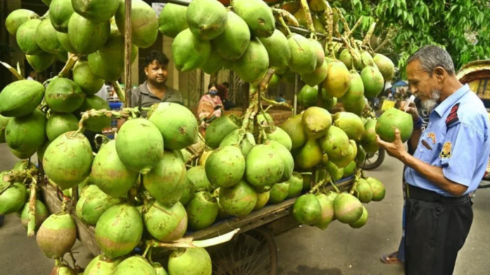 ডাবের ছবি
